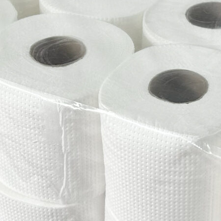 48 Pack Bale of 2-Ply Toilet Paper - Bulk package with 48 rolls, each 2-ply for softness and durability.